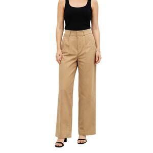 Everlane High Rise Pleated Wide Leg Pants in Tan/Light Brown size 4S